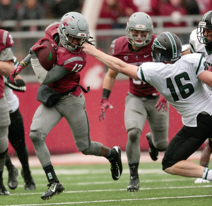 Crimson & Gray Spring Game at Martin Stadium